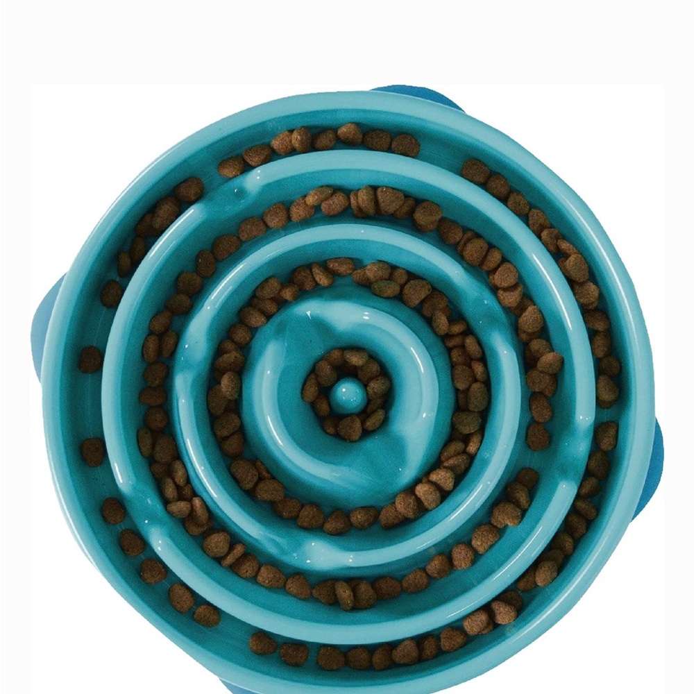Teal Slow Feeder Dog Bowl